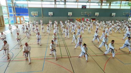 Kata-Spezial 24-05-09-3