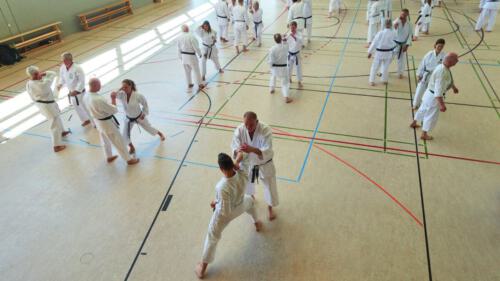 Kata-Spezial 24-05-09-4